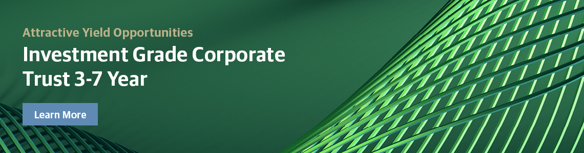 Investment Grade Corporate Trust 3-7 Year Series 26